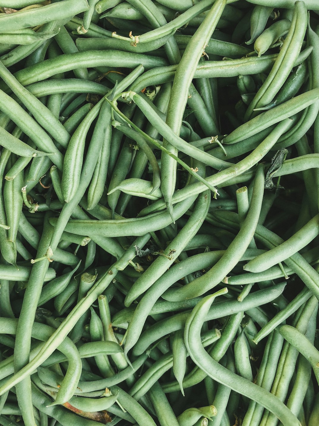 Fine Beans