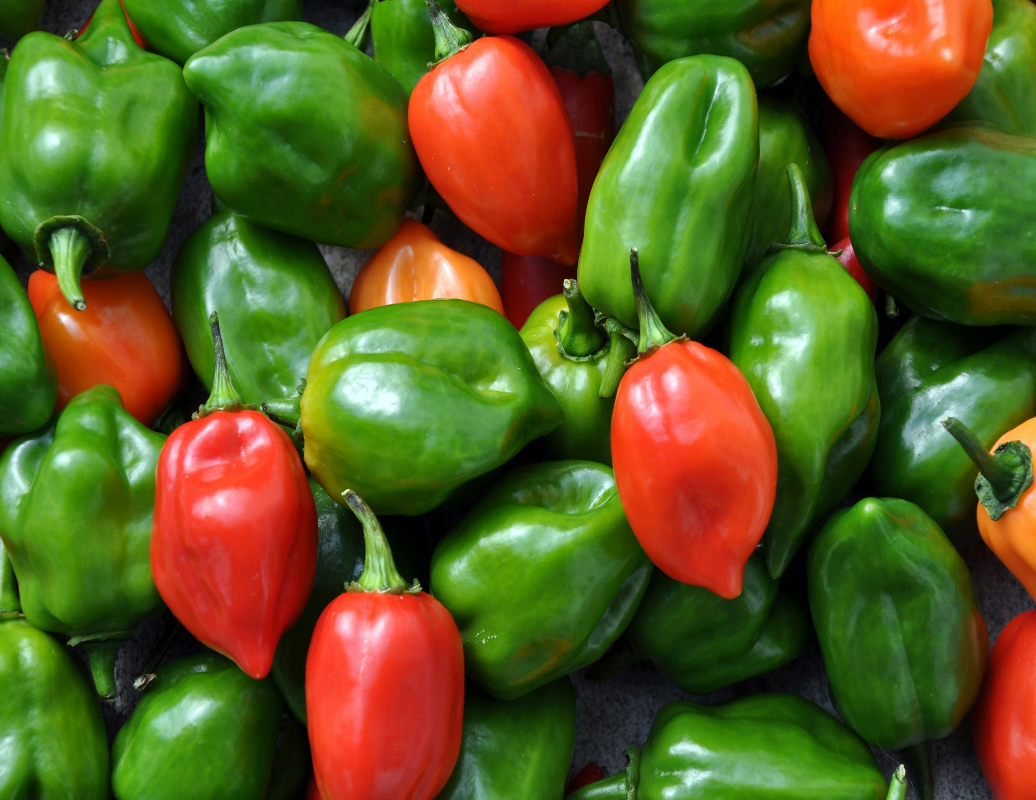 Habanero Chillies